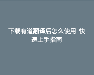 下载有道翻译后怎么使用 快速上手指南